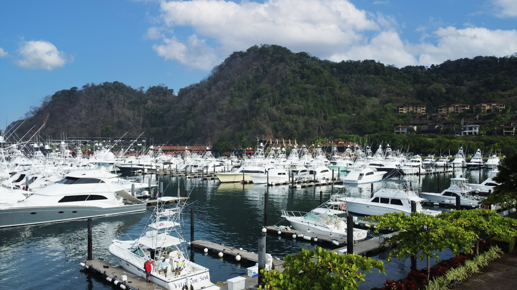 Marina con yates y montañas al fondo