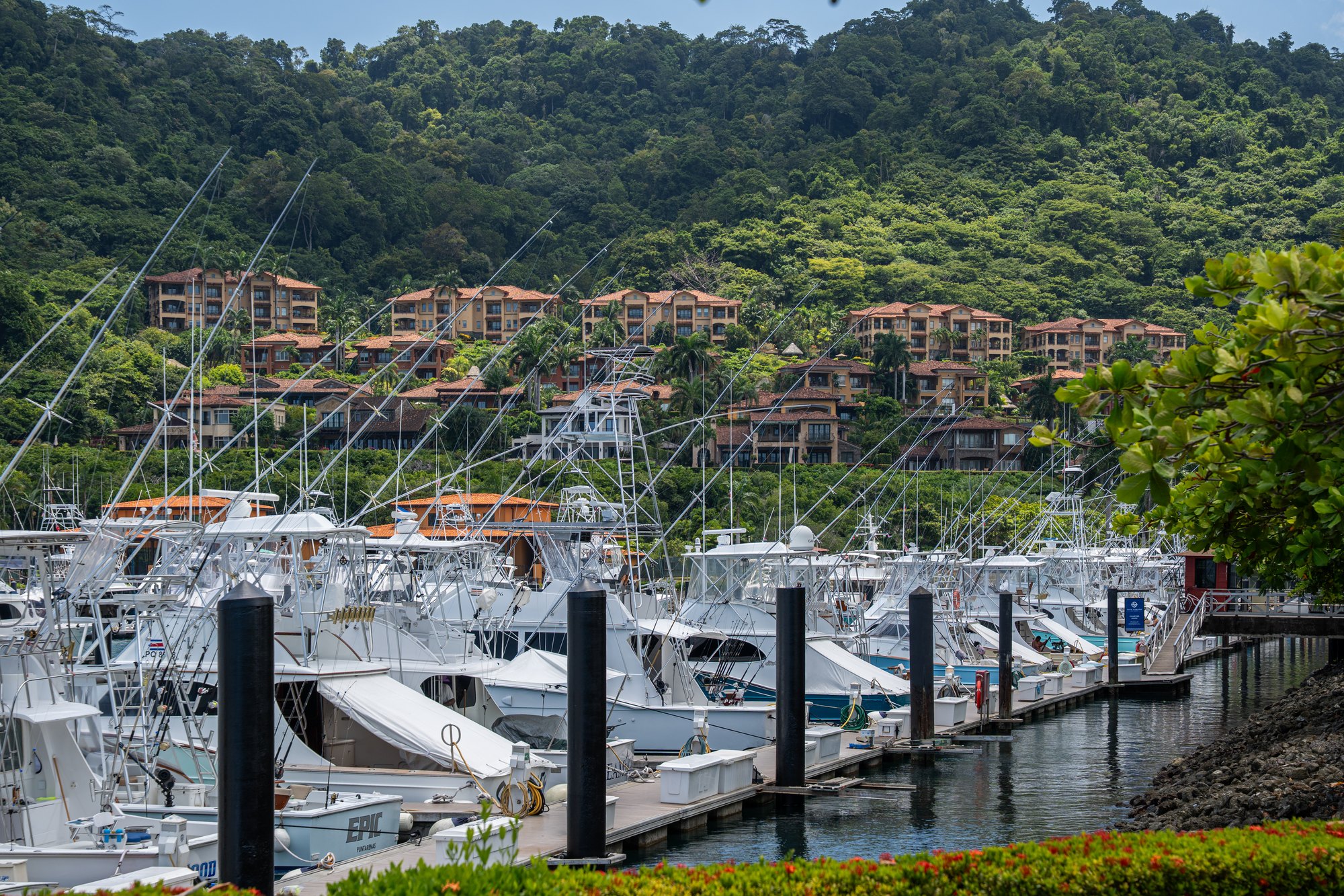 Yates en la marina con residencias en la ladera
