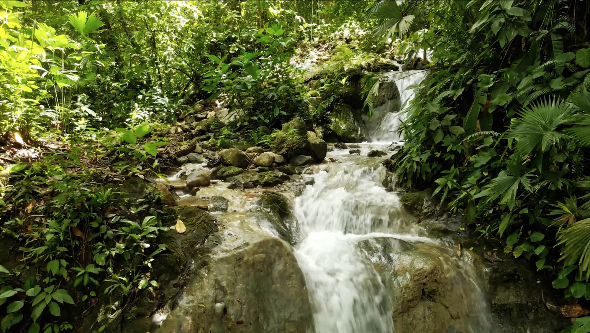 Finca Selva Azul
