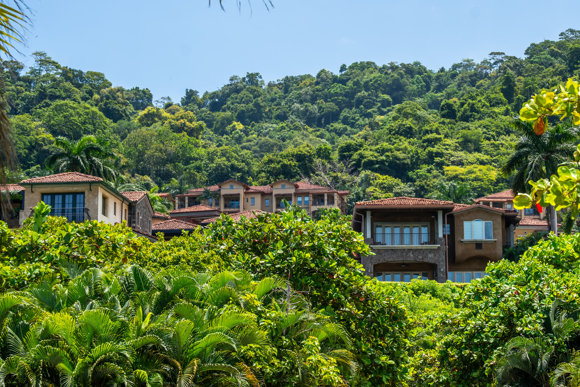 Condominios y apartamentos en venta — Villas contemporáneas entre la selva